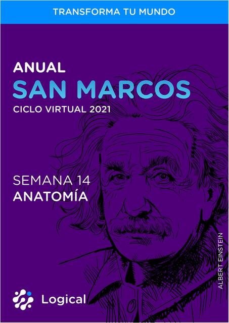 Anual san marcos ciclo virtual 2021 semana 14 anatomía 