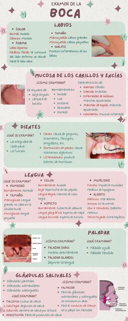 Examen de la Boca 