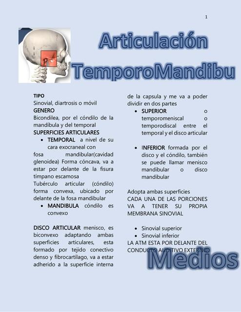 Articulación temporomandibular