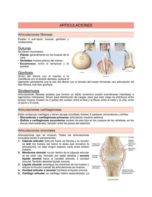 Apunte de Anatomía - Generalidades 1 - Artrología