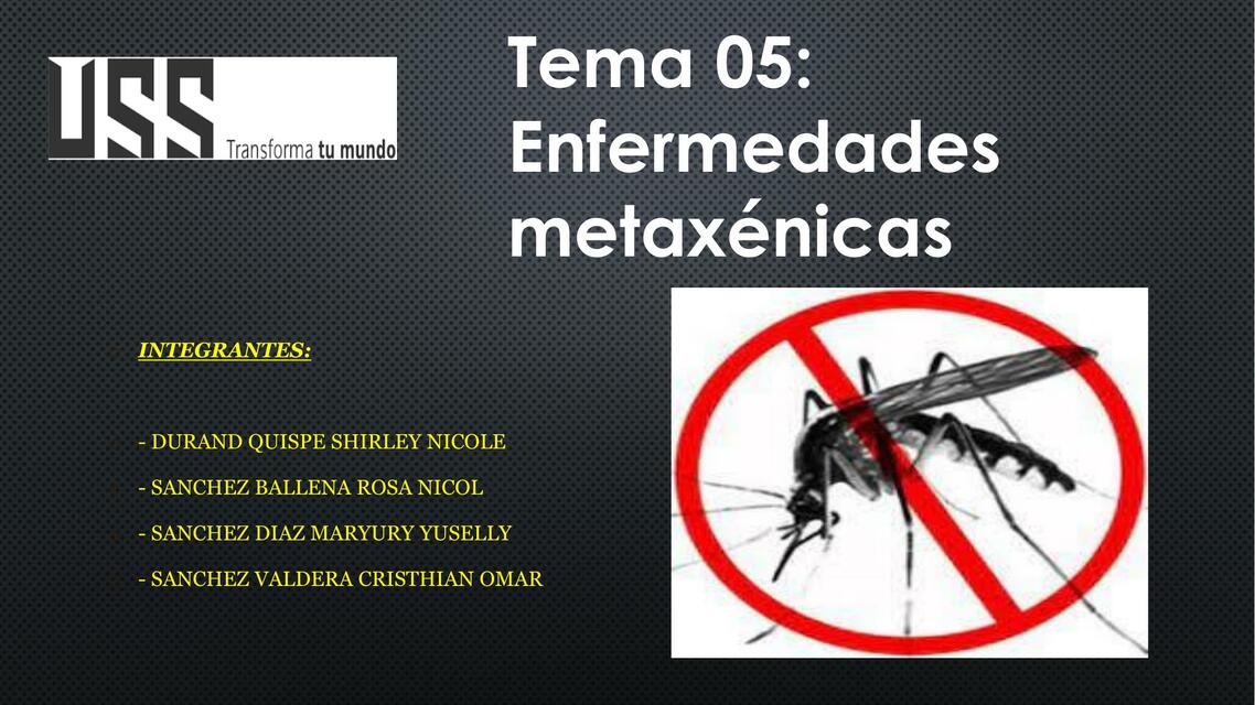 Enfermedades Metaxénicas 