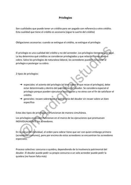 Privilegios y Derecho de Retención mardigitalstudiess uDocz