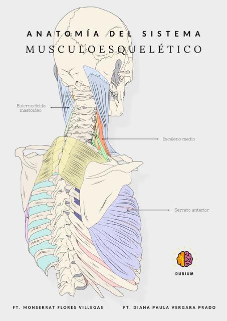 Libro Anatomía 