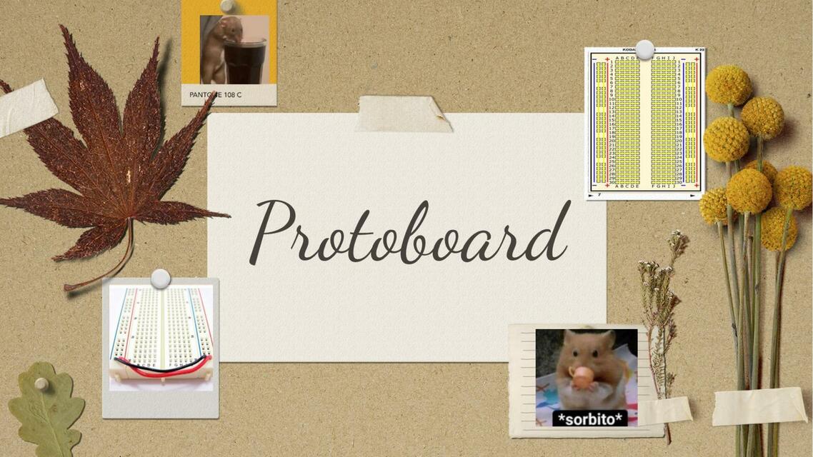 Protoboard 