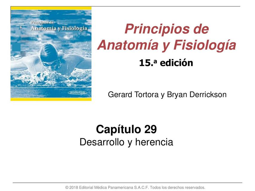 Principios de anatomía y fisiología 15 edición Capítulo 29 Desarrollo y