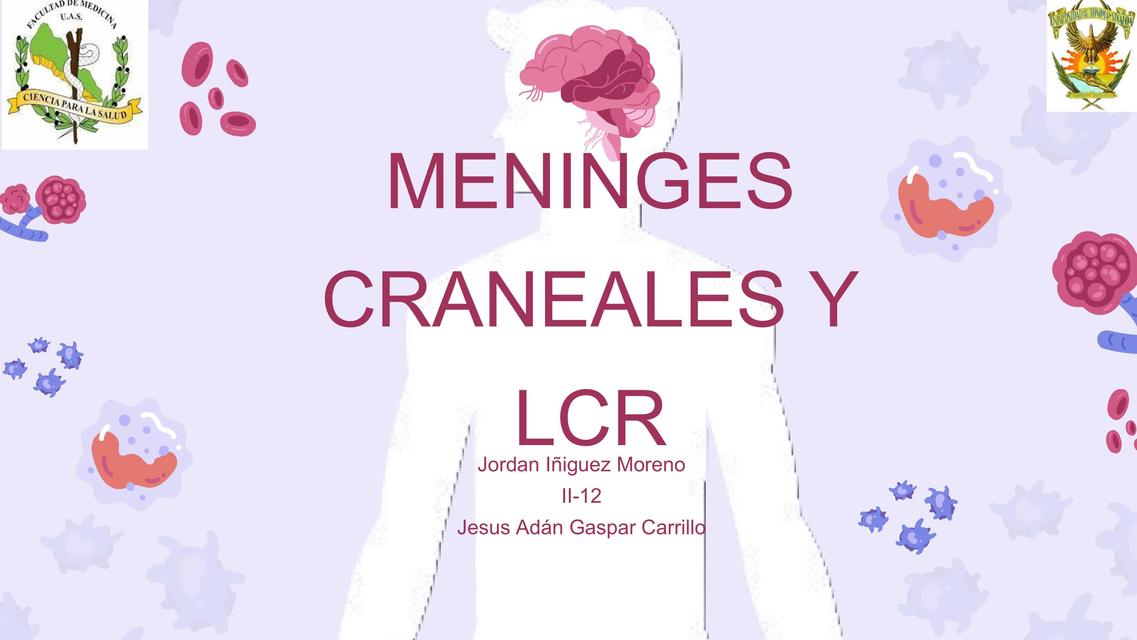 Meninges craneales y LCR  