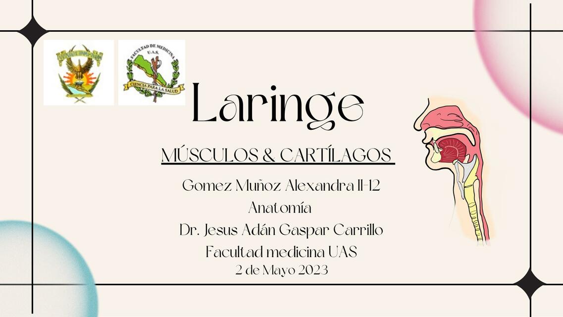 Laringe