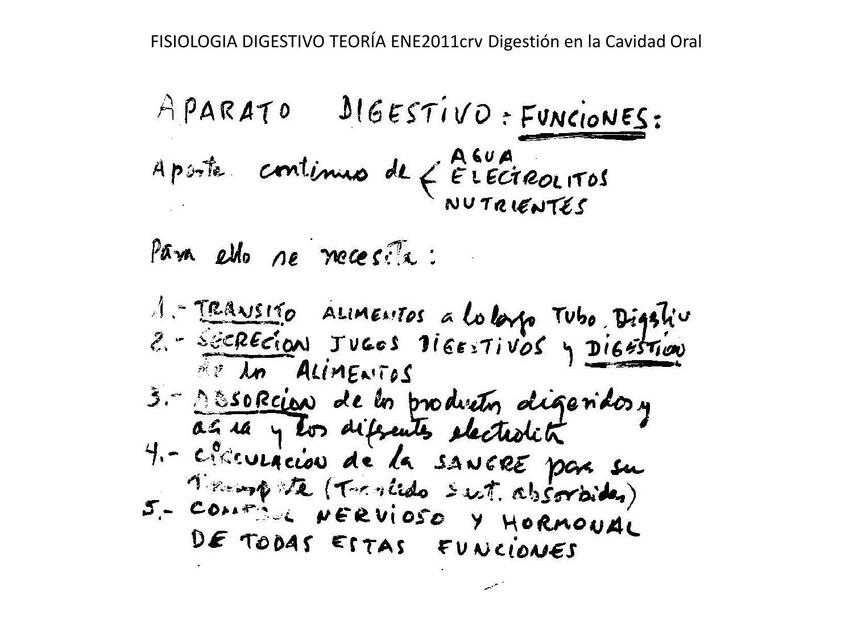 Fisiología digestiva 