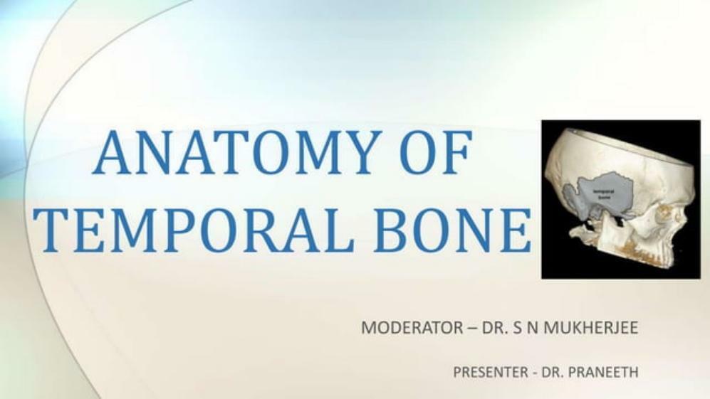 Anatomy of Temporal Bone