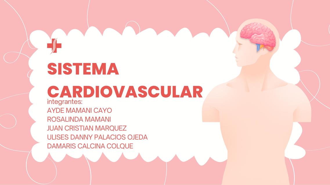 Sistema Cardiovascular 