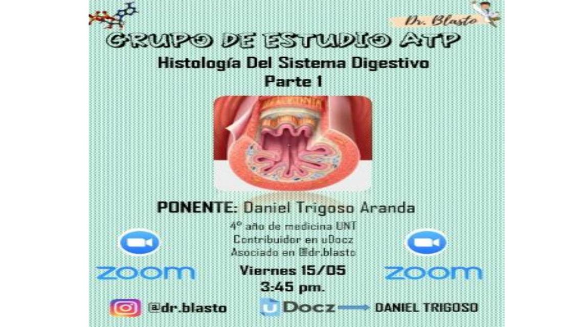 SISTEMA DIGESTIVO  I