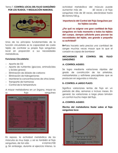 Fisiología Cardiovascular. Control Local del Flujo Sanguíneo por los Tejidos y Regulación Humoral 