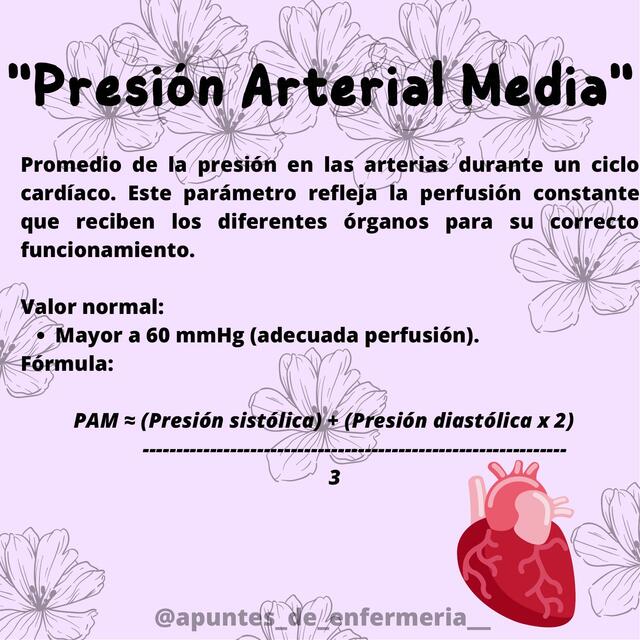 Conoce los números de tu presión arterial