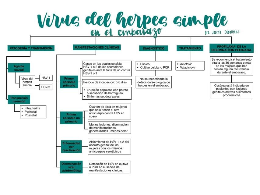 Virus del herpes simple en el embarazo | Josefa (@jomedstudent) | uDocz