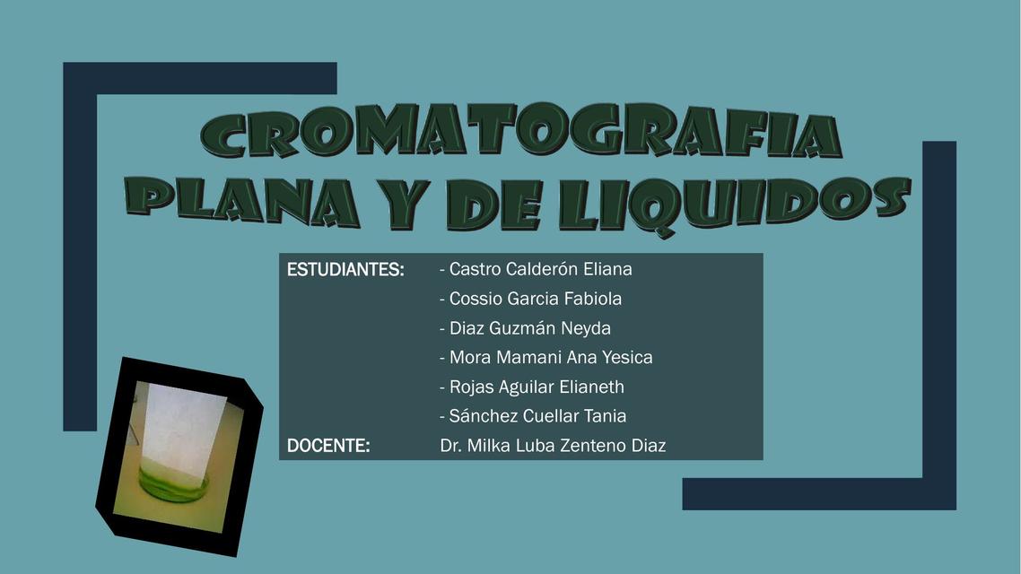 Cromatografía plana y de líquidos 