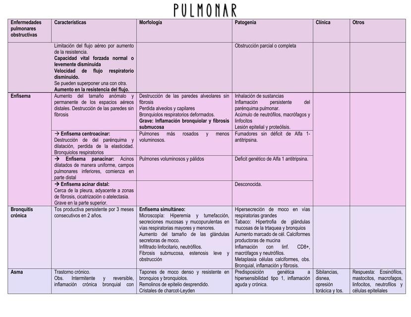 Patología renal, gástrica y Respiratoria 