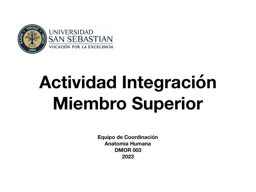 Actividad Integración MMSS