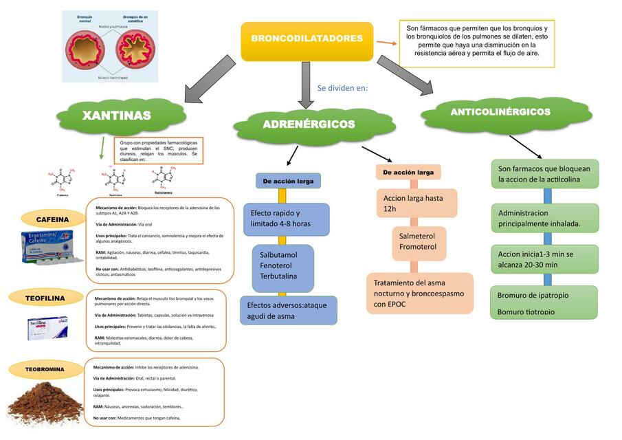 Broncodilatadores 