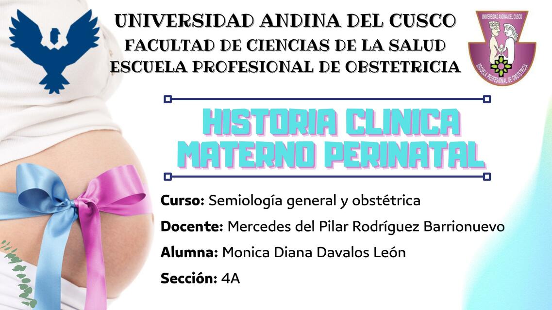 Historia clínica materno perinatal