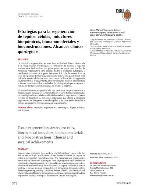 Estrategias para la regeneración de tejidos: células, inductores bioquímicos, bionanomateriales y bioconstrucciones. Alcances clínico-quirúrgicos