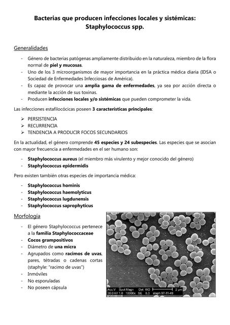 Bacterias que producen infecciones locales y sistémicas:  Staphylococcus spp.