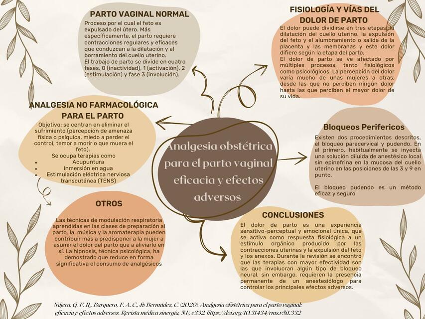 Analgesia obstétrica para el parto vaginal: eficacia y efectos adversos