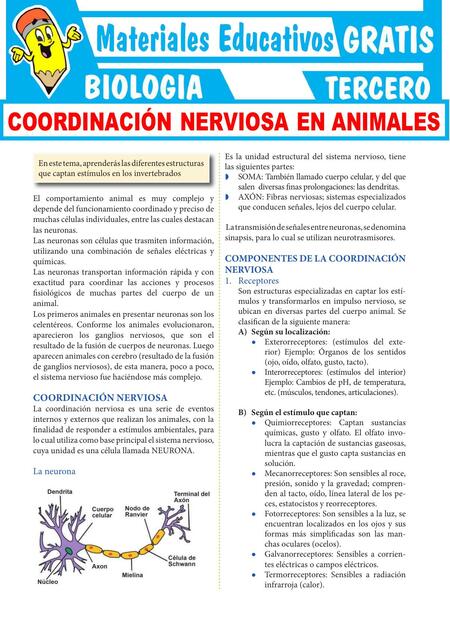 Coordinación Nerviosa en Animales 