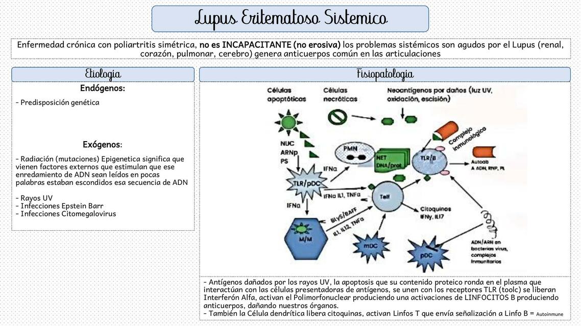 Lupus Eritematoso Sistémico 