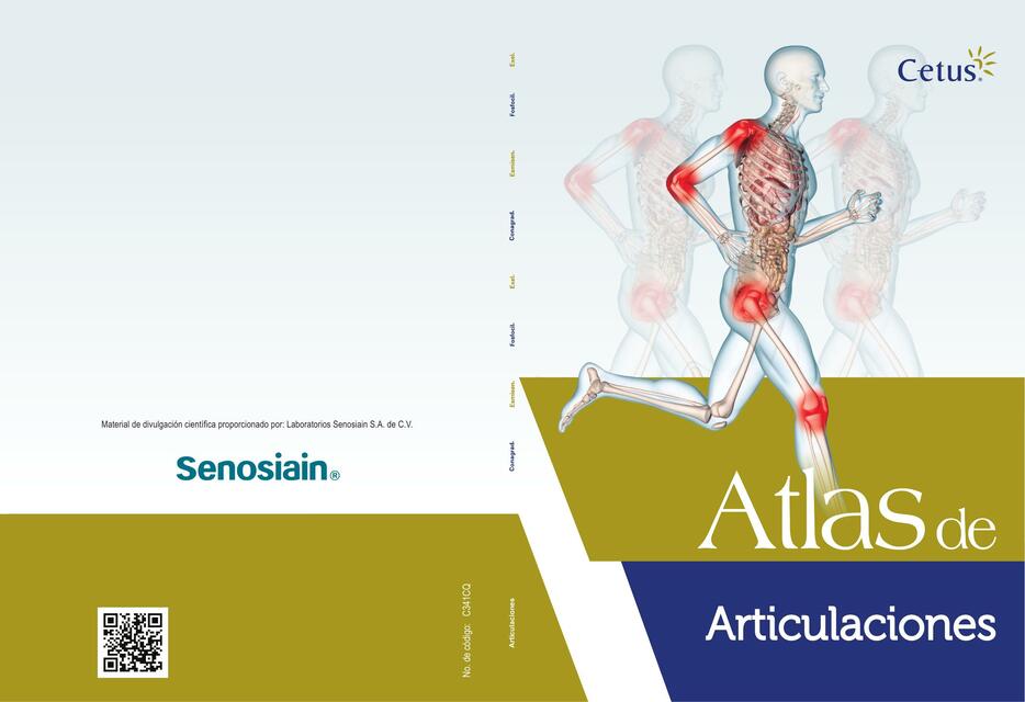 Atlas de Articulaciones