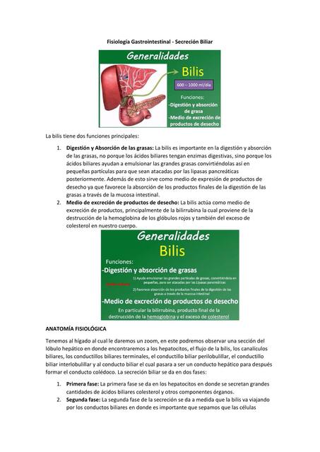 Fisiología Gastrointestinal- Secreción Biliar