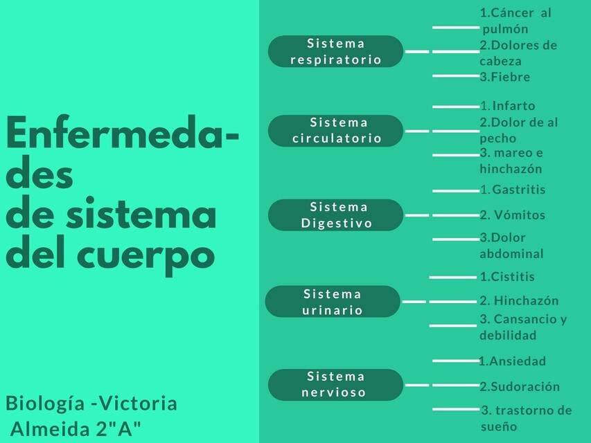 Enfermedades de sistemas del cuerpo | Victoria.A. | uDocz