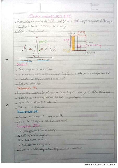 Resumen Electrocardiograma, conceptos básicos