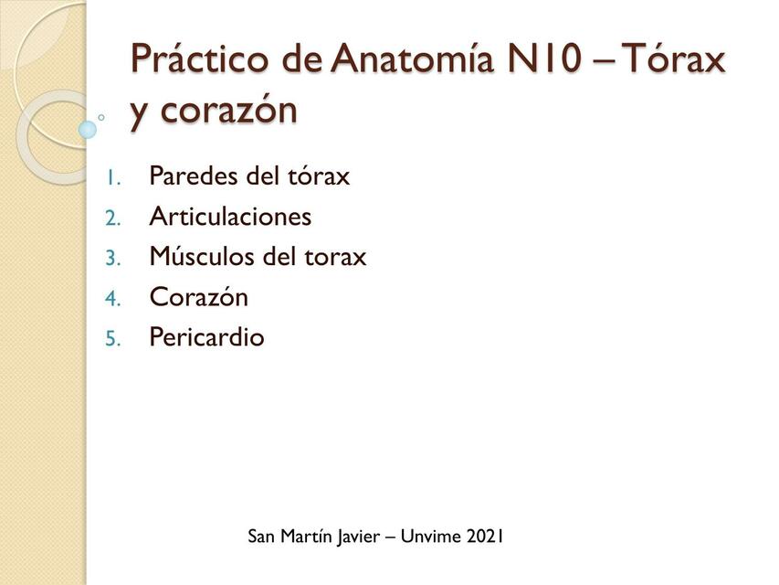 Práctico de Anatomía N10 – Tórax y Corazón