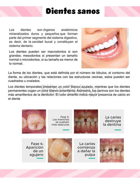 Dientes Sanos 