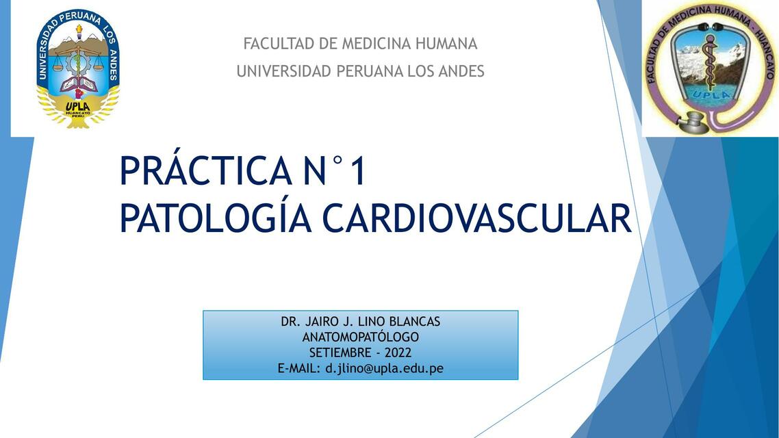 Práctica n1 patología cardiovascular 1