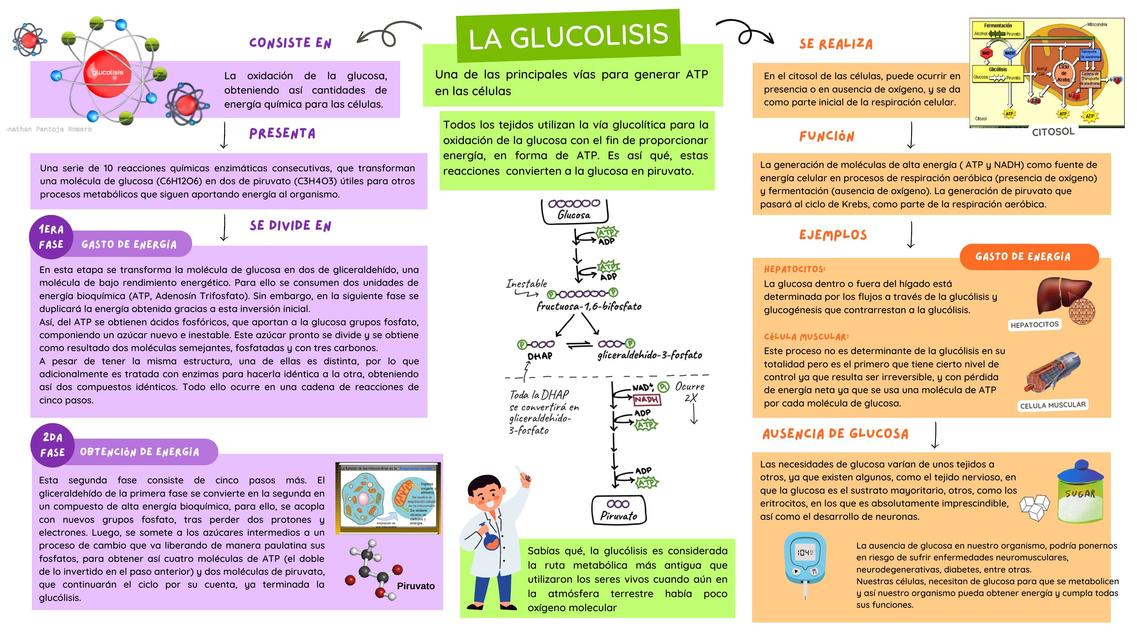 La Glucolisis