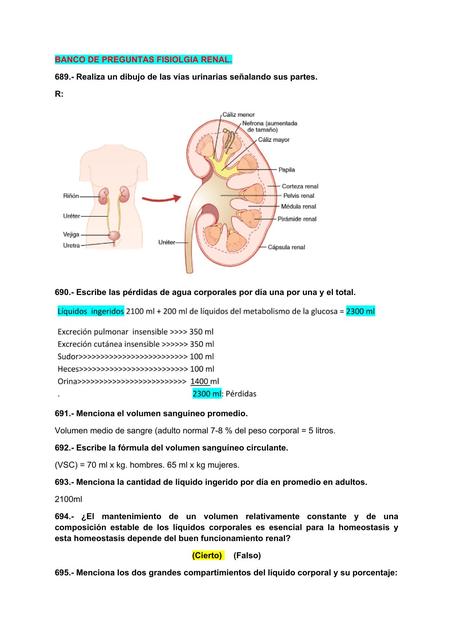 Fisiología Renal 