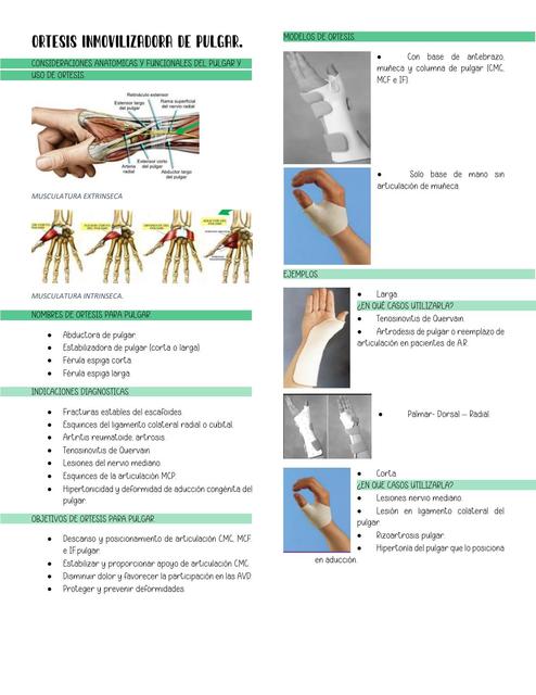 Ortesis inmovilizadores de pulgar 