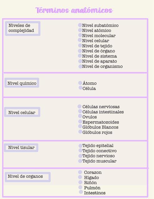 Términos Anatómicos  