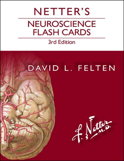 Netters Neuroscience Flash Cards 3RD edition 