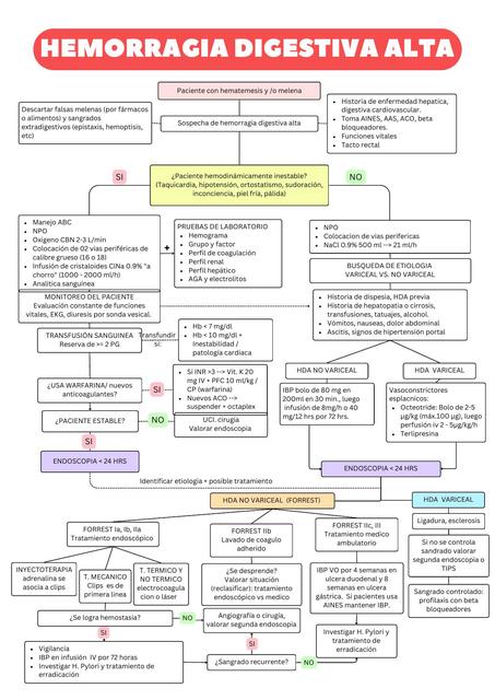 Hemorragia digestiva alta