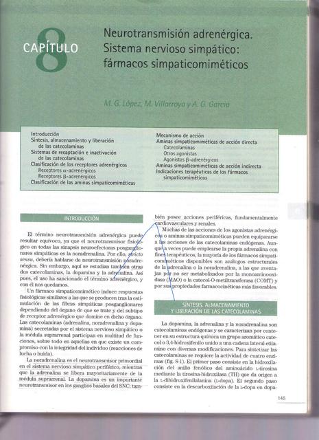 Sistema nervioso simpático: fármacos simpaticomiméticos