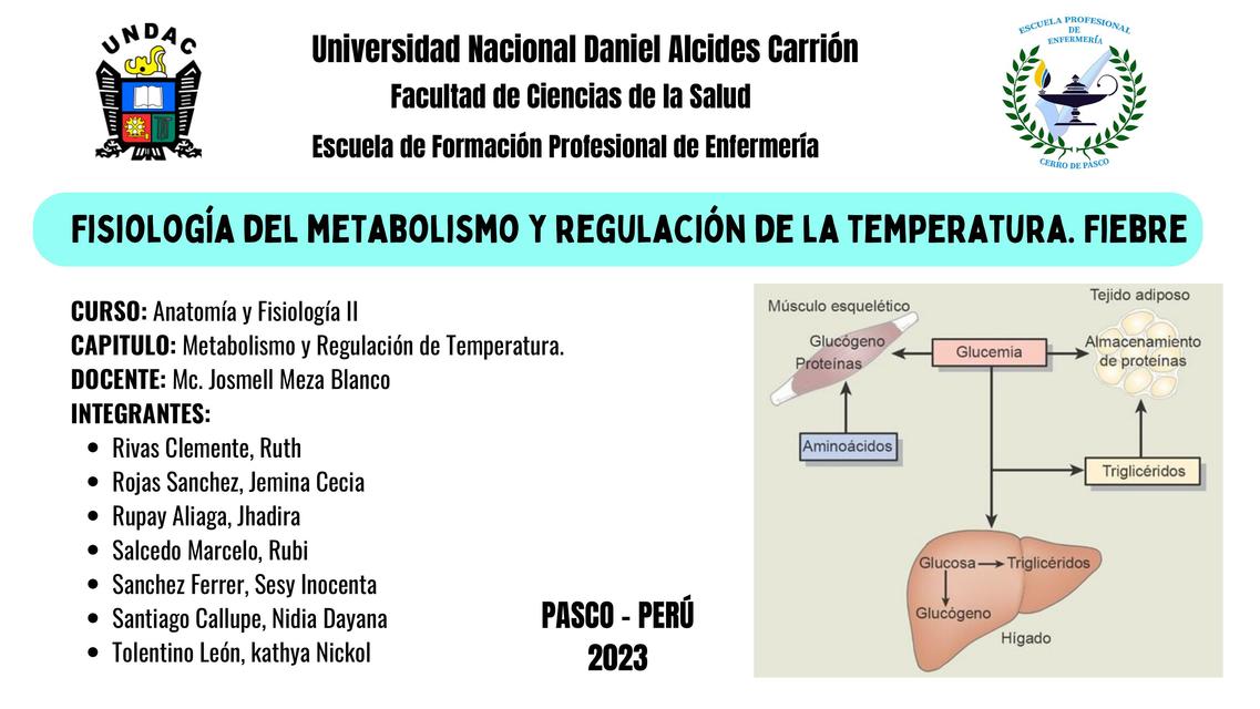 Filosofía del metabolismo y regulación de la temperatura 