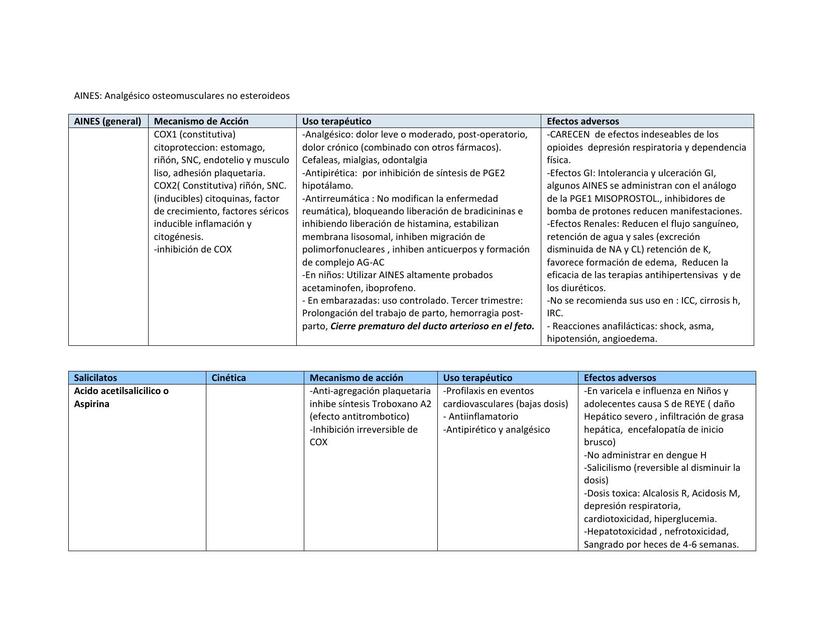 AINES Resumen