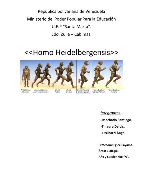 Homo heidelbergensis