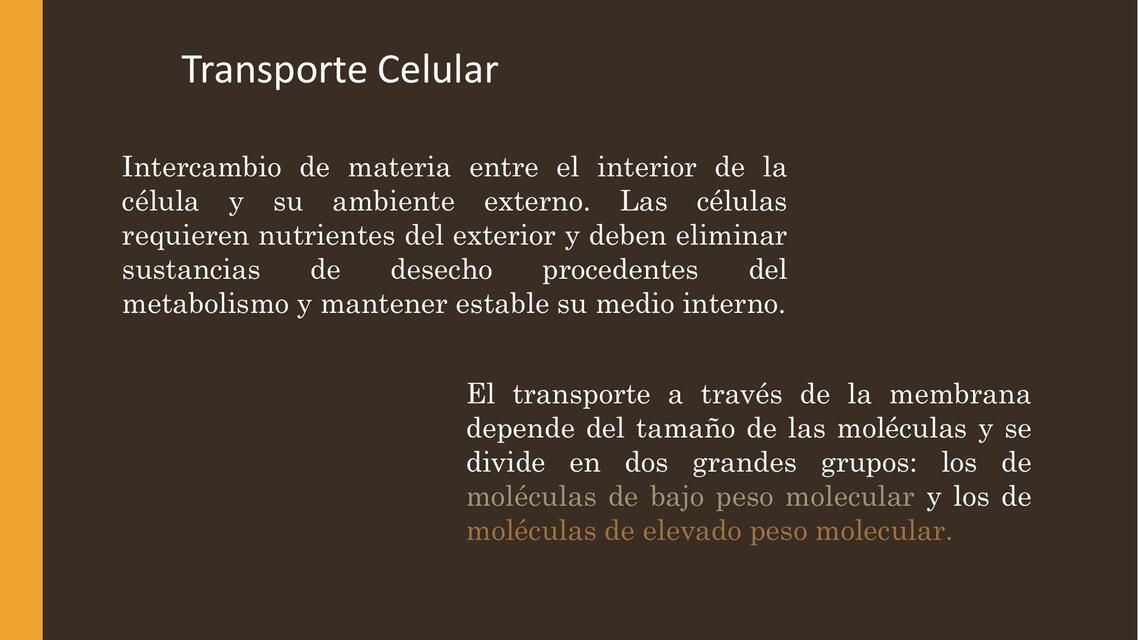 Transporte Celular 