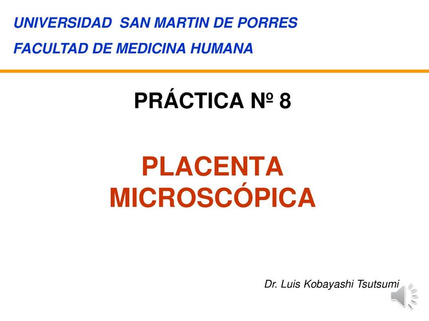 Placenta Microscópica