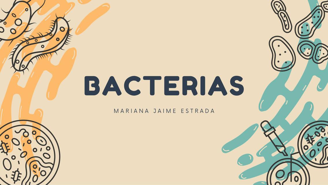 Bacterias