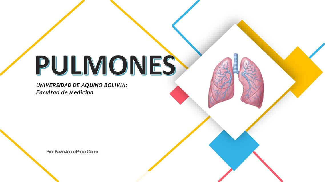 Pulmones 