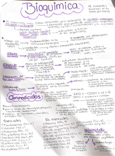 Bioquímica 